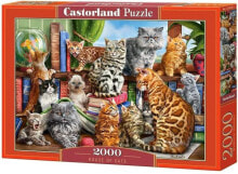 Puzzles for children