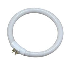 EDM T4 12W 6500k 30287 Circular Fluorescent Tube