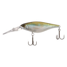 Baits and jigs for fishing