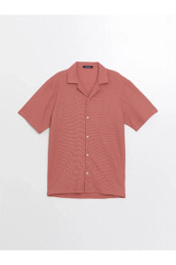 Men's Shirts