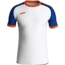 Men's sports T-shirts and T-shirts