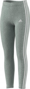 Women's Sports Leggings