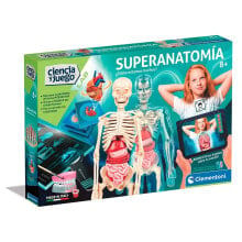 CLEMENTONI Superanatomy