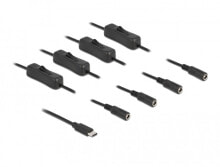 Delock Kabel USB Type-C Stecker zu 4 x DC 5.5 2.1 mm Buchse mit Schalter 1 m - Cable - Digital