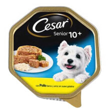 CESAR Senior dog chicken and rice food 150g 14 units