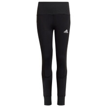 ADIDAS A.R. D leggings