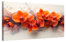 Bild Orchidee Blumen I