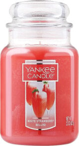 Duftkerze im Glas Weiße Erdbeere Bellini - Yankee Candle White Strawberry Bellini