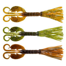 Baits and jigs for fishing