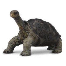 COLLECTA Giant Pint Turtle Figure