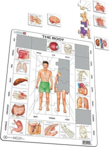Larsen Układanka Nasze ciało Maxi