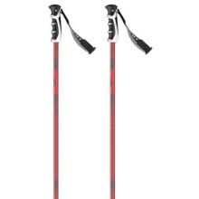 Nordic walking sticks and trekking poles