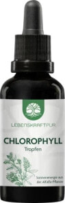 Chlorophyll flüssig, 50 ml