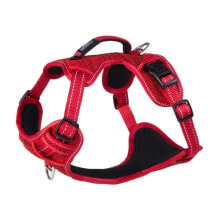 ROGZ Explore SJX06 Harness