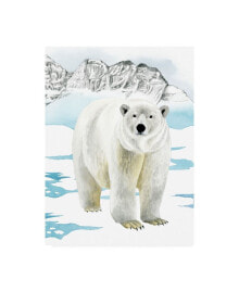 Trademark Global grace Popp Arctic Animal II Canvas Art - 37