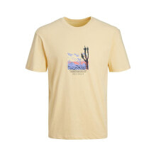 Men's sports T-shirts and T-shirts