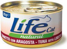 Wet Cat Food