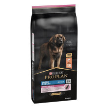 Products for dogs