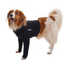 Clothing and shoes for dogs