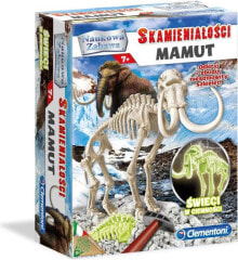 Купить развивающие и обучающие игрушки Brimarex: Brimarex Skamieniałości Mamut 60890