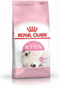 Сухие корма для кошек Royal Canin купить от $17