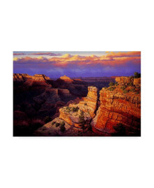 Trademark Global r W Hedge Symphony Canyon Canvas Art - 36.5