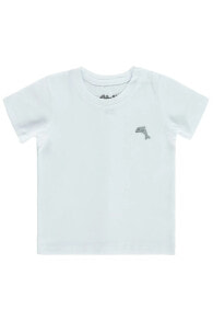 Children's T-shirts and T-shirts for boys