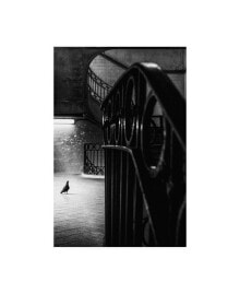 Trademark Global laura Mexia Big Bird in a Small Cage Canvas Art - 37