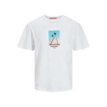 Men's sports T-shirts and T-shirts