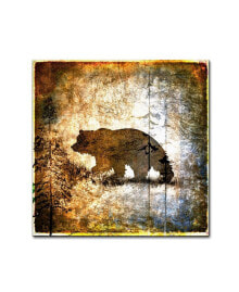 Trademark Global lightbox Journal 'High Country Bear' Canvas Art - 24