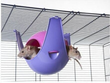Toys and decor for rodents