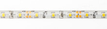 Taśma LED GTV 5m 60szt./m 6W/m 12V (LD-2835-300-20-CB) купить онлайн