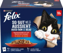 Wet Cat Food