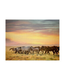 Trademark Global pH Burchett Sunkissed Horses I Canvas Art - 27