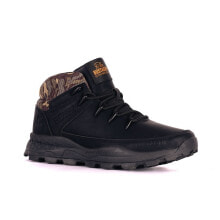 Men's Low Boots