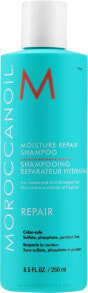 Feuchtigkeitsspendendes und regenerierendes Shampoo - MoroccanOil Moisture Repair Shampoo