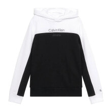 CALVIN KLEIN JEANS Terry Color Block Regular Hoodie