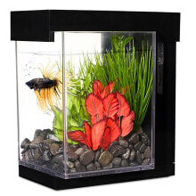 Products for fish and reptiles