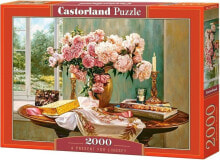 Castorland Puzzle 2000 elementów - Prezent dla Lindsey (200719)
