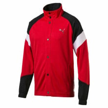 Men's Sports Jackets