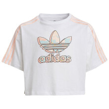 ADIDAS ORIGINALS Crop Short Sleeve T-Shirt