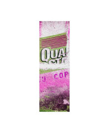 Trademark Global philippe Hugonnard Viva Mexico 2 Pink Grunge Wall Canvas Art - 36.5