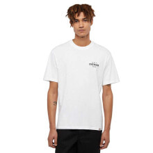 Men's sports T-shirts and T-shirts