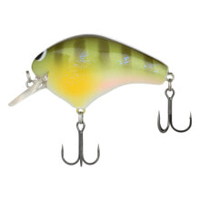 Fishing lures and jigs