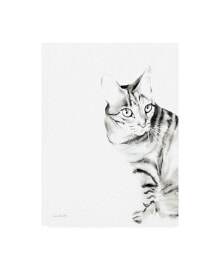 Trademark Global aimee Del Valle Sadie the Cat Canvas Art - 20