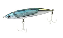 Baits and jigs for fishing