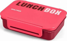 Containers and lunch boxes