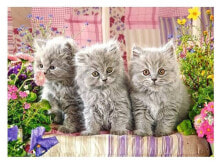 Puzzle Drei graue Kätzchen