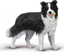 Figurka Collecta Collecta border collie 80012 00127