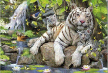 Детские развивающие пазлы educa Puzzle 1000 elementów Tygrysy Bengalskie (14808)
